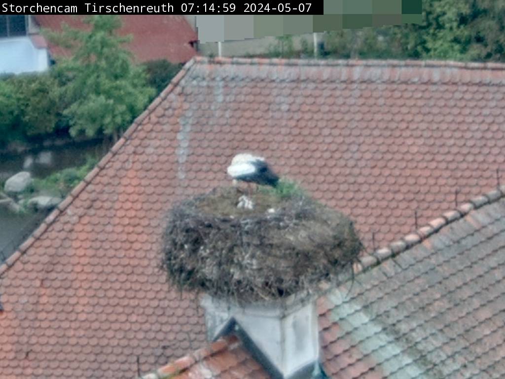 Storch Cam