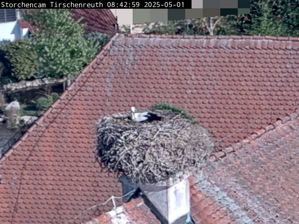 Storch Cam